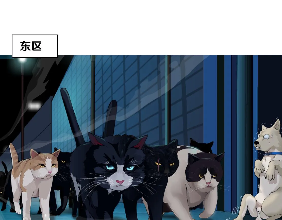 129【决战篇】猫语者 第49页