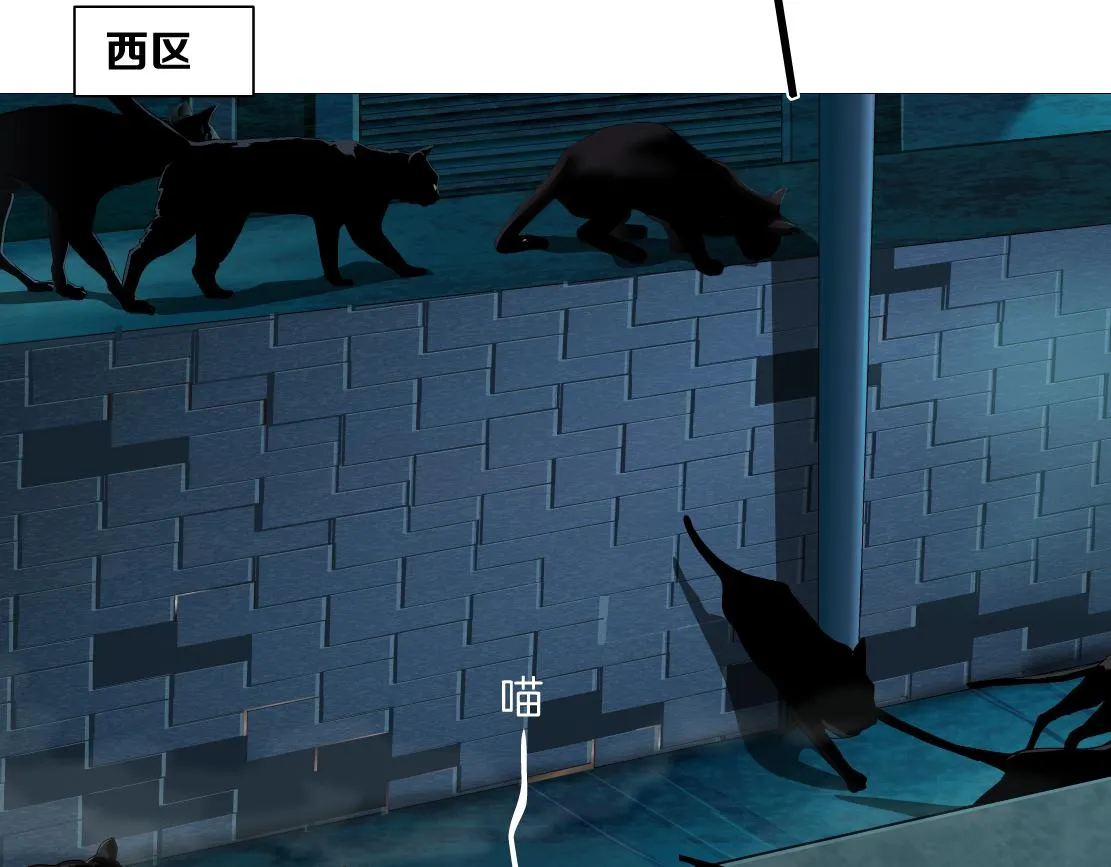 129【决战篇】猫语者 第52页