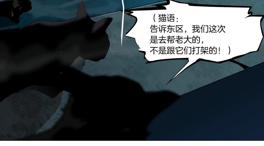 129【决战篇】猫语者 第53页