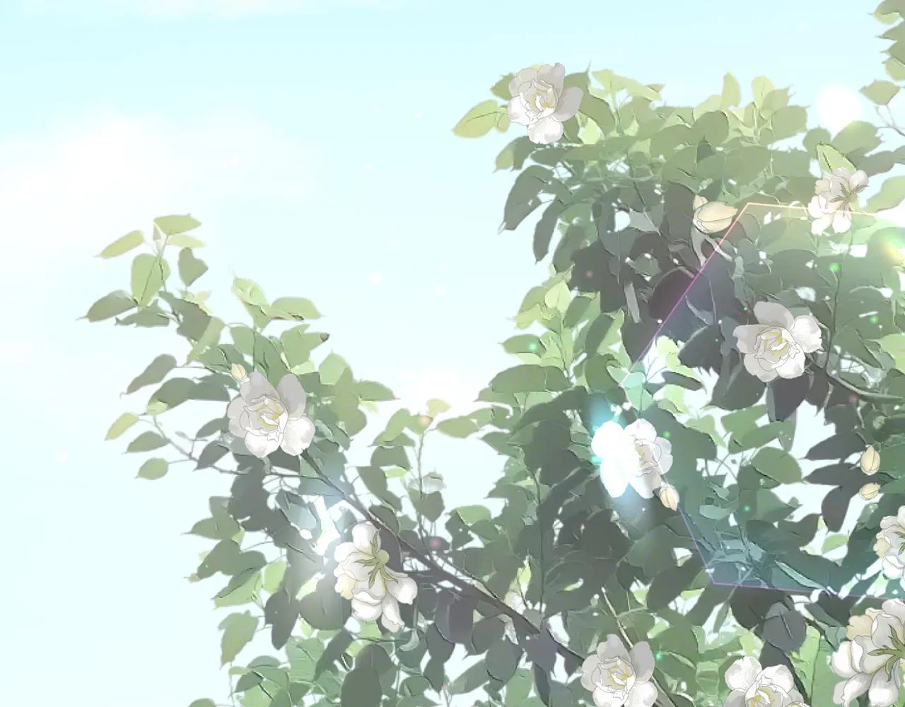 第393 哥哥带你走 第68页