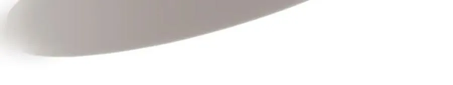 第443 熟悉的背影 第50页