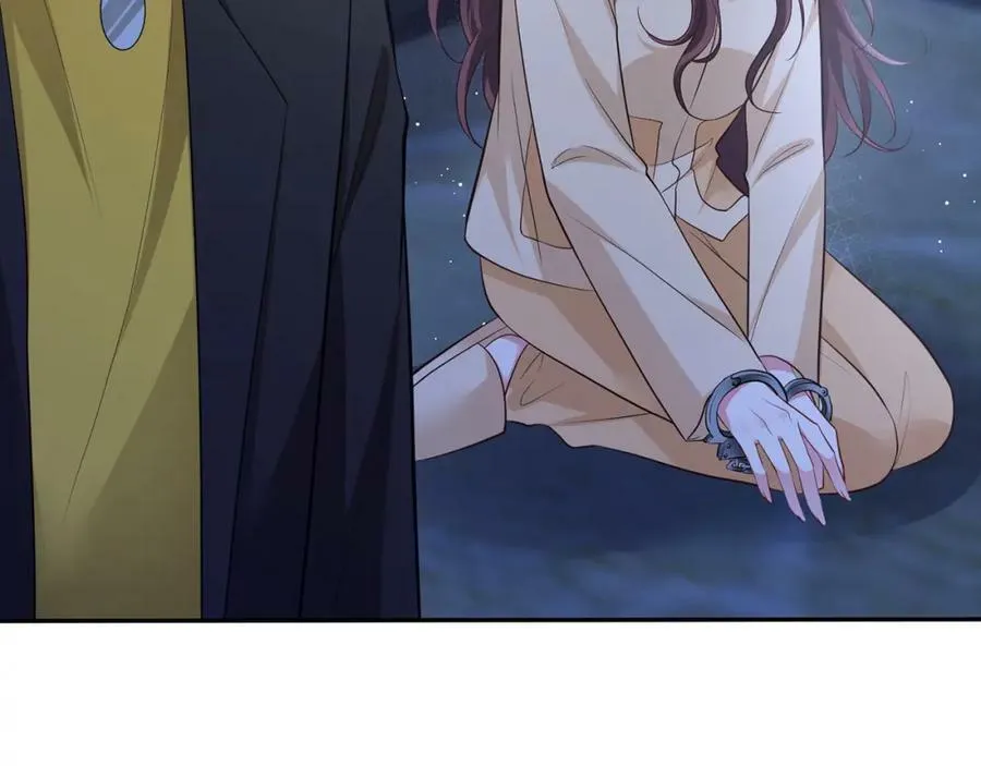 第463 绝望的北冥夜 第94页