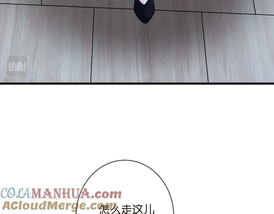 第478 下跪 第25页