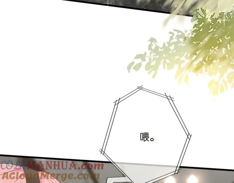 第482 重回龙家 第13页