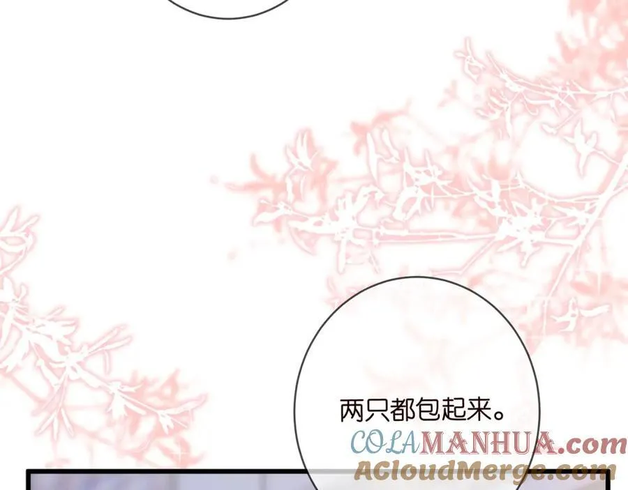 第485 正面刚龙家人 第13页