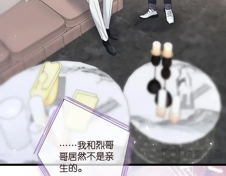 第488 龙楚寒的怀疑 第111页