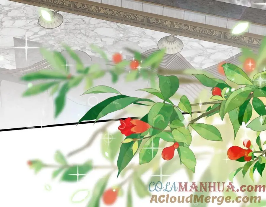 第490 撮合 第25页