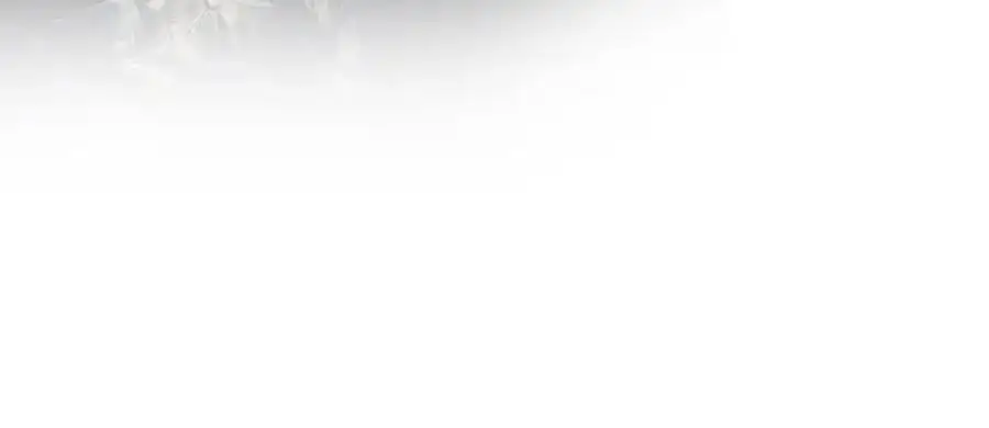 第495 离婚协议2.0 第68页