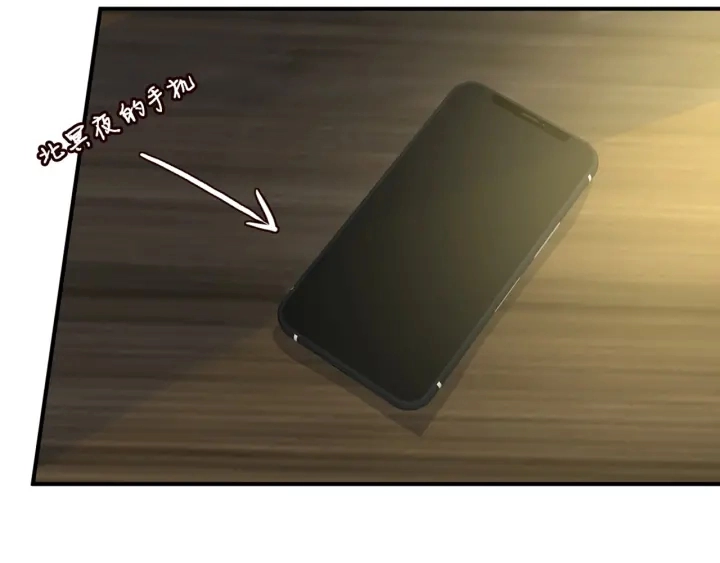 第243 幕后黑手是他？ 第14页