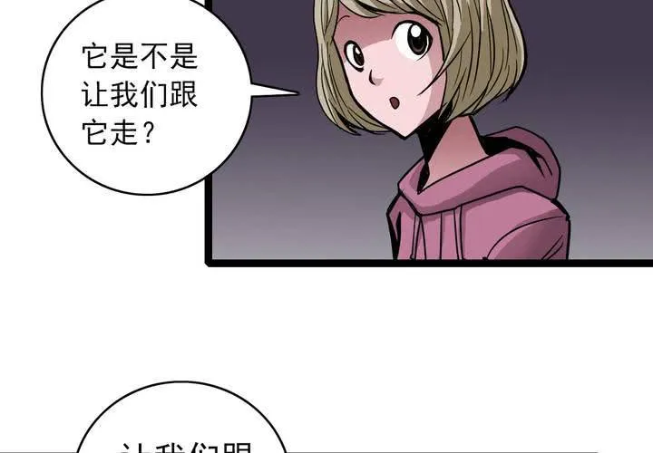 第三十九话 出口 第50页