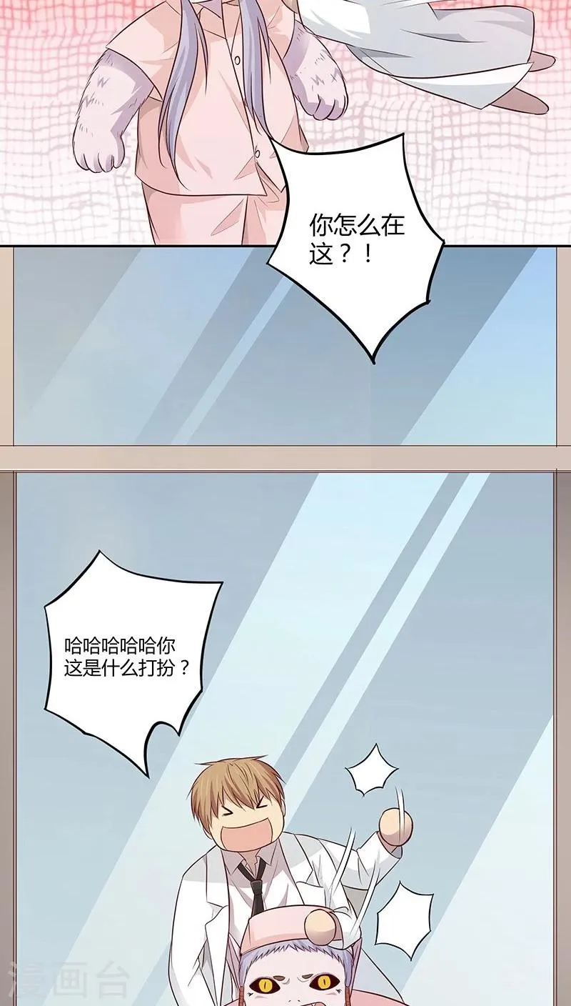 第13话 第13页