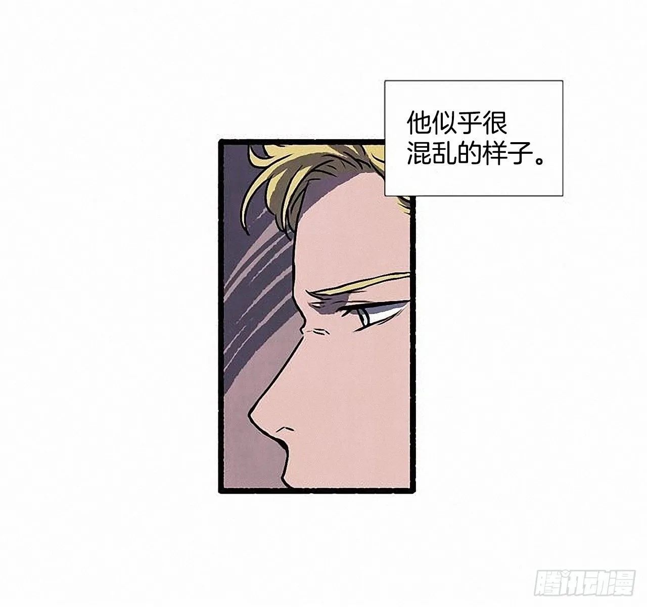 43.金发 第19页
