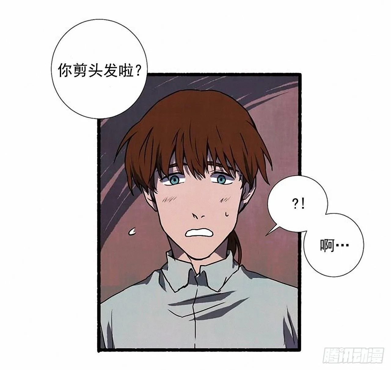 24.五只鹿标本 第16页