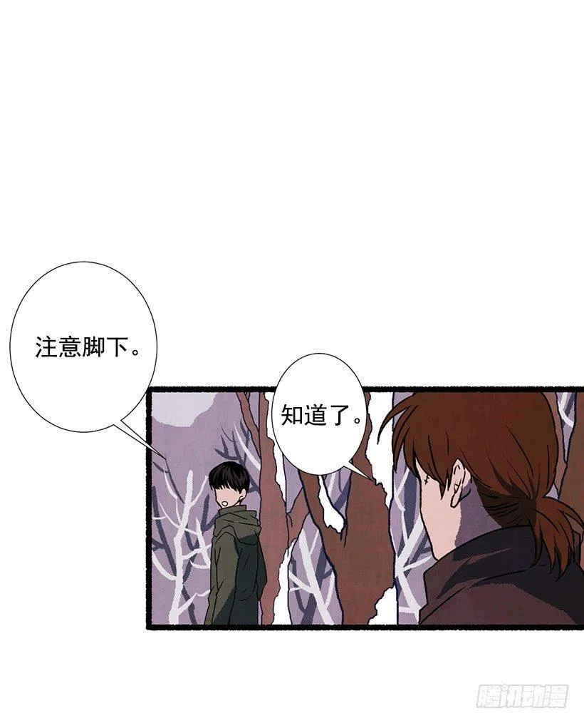4.意外的发现 第13页