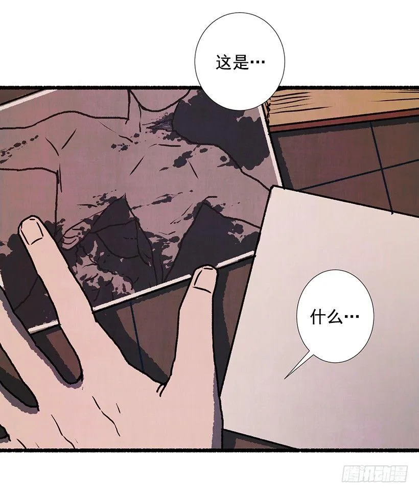 4.意外的发现 第54页