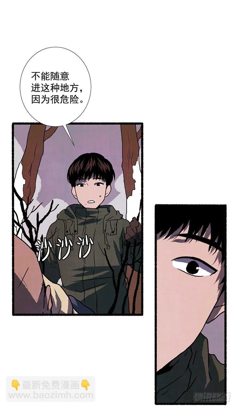 8.无所不能 第55页