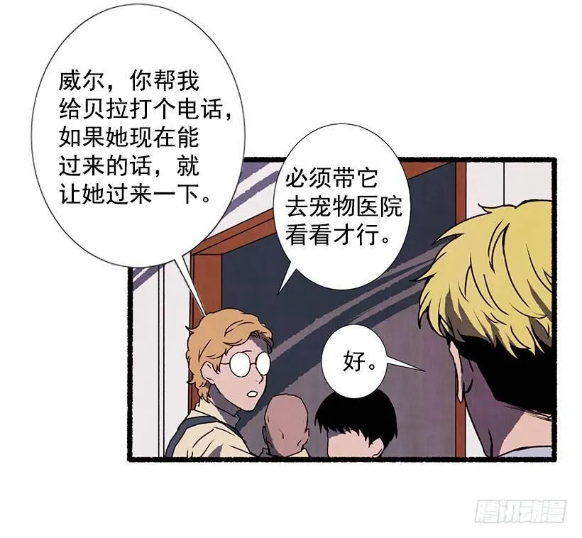 9.蕾拉 第12页