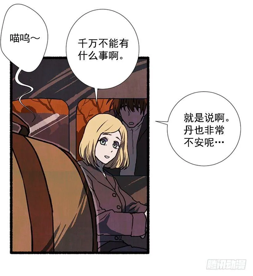 9.蕾拉 第19页