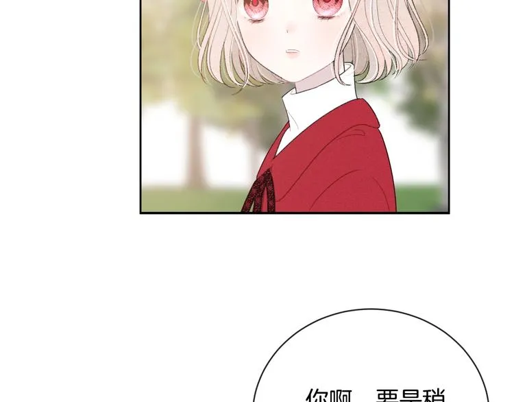 完结篇 目光停留之处 第210页