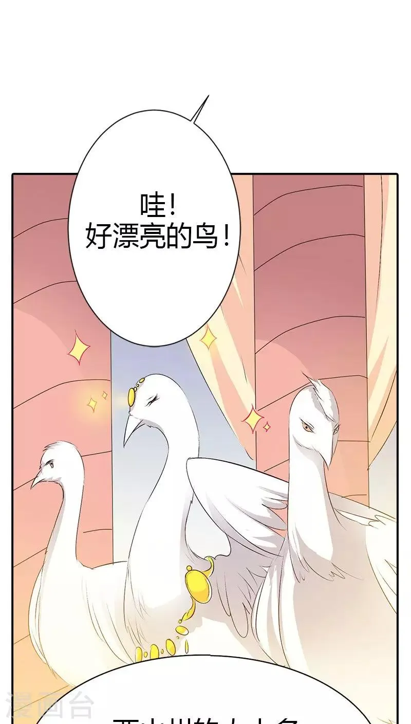 第3季40话 局势不妙 第19页