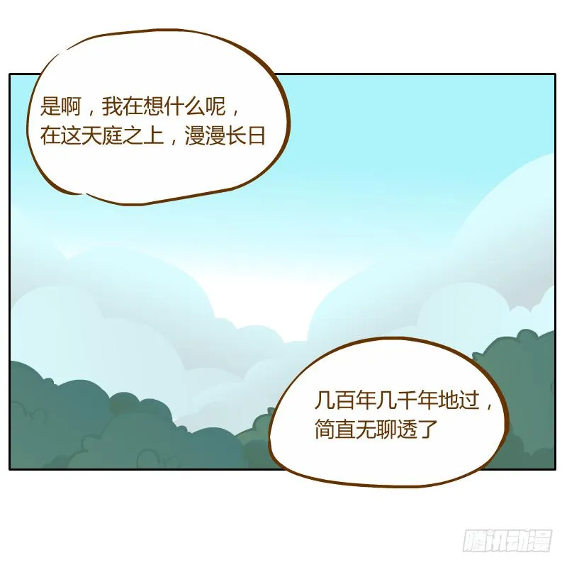 白辰出现 第70页