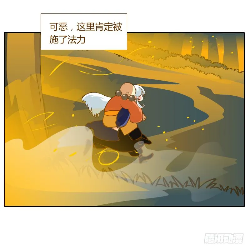 是你杀了他 第11页