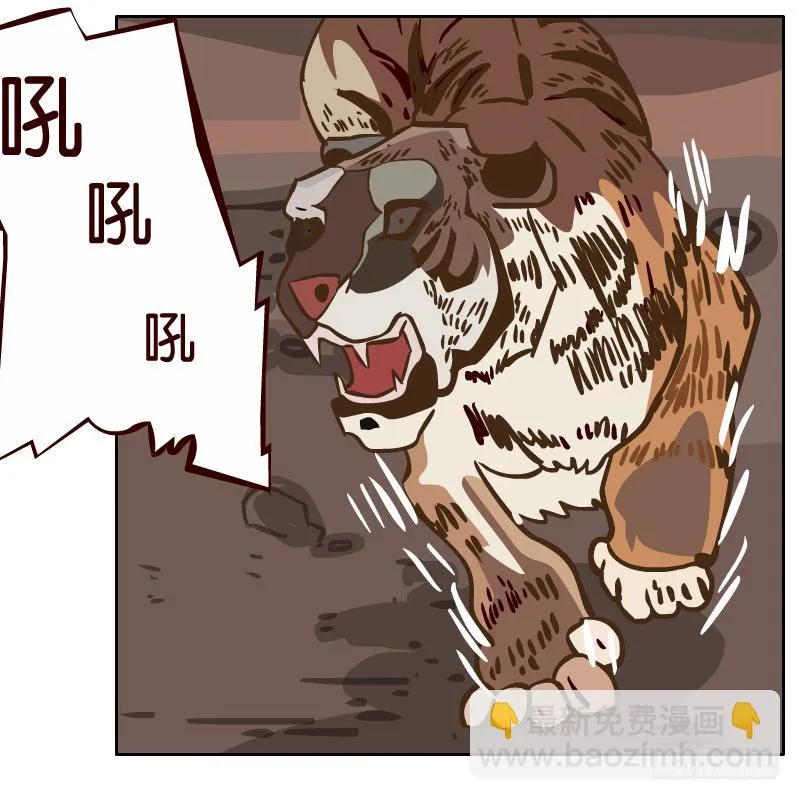 我来保护你 第13页