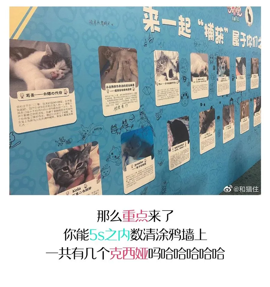 065 满月之湖 第71页