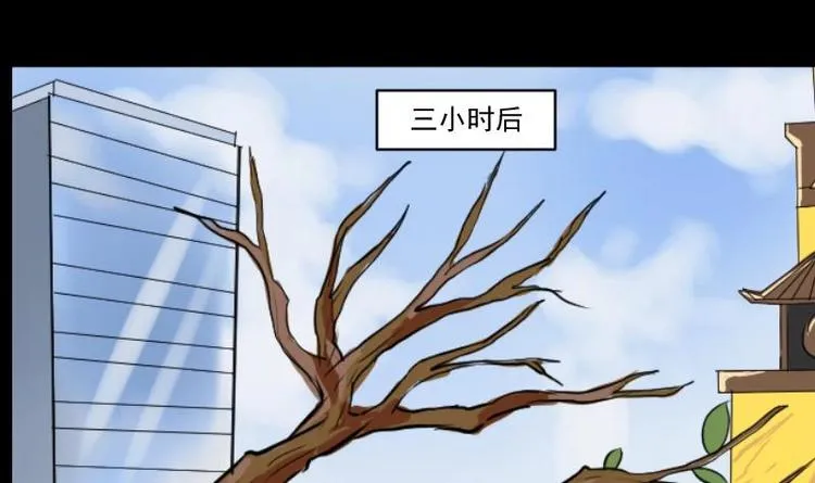 第13话 王道长（三） 第33页