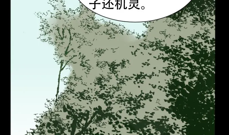 第40话 林中探秘 第40页