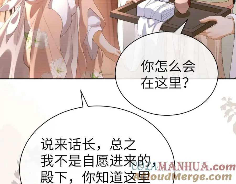 第二十五话 五年后的夏国 第46页