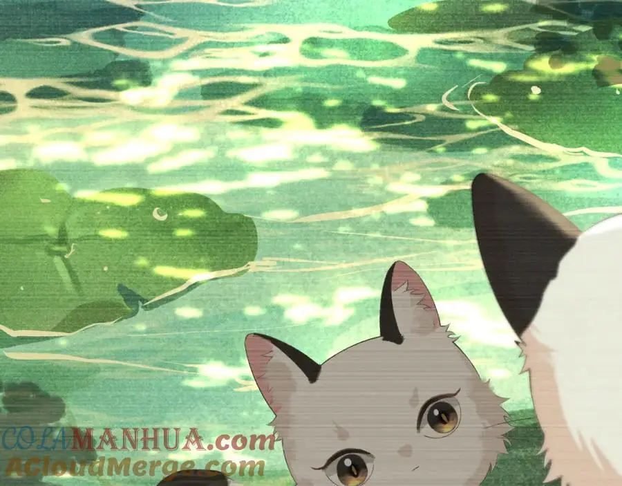 第二十二话 质子的童年 第49页