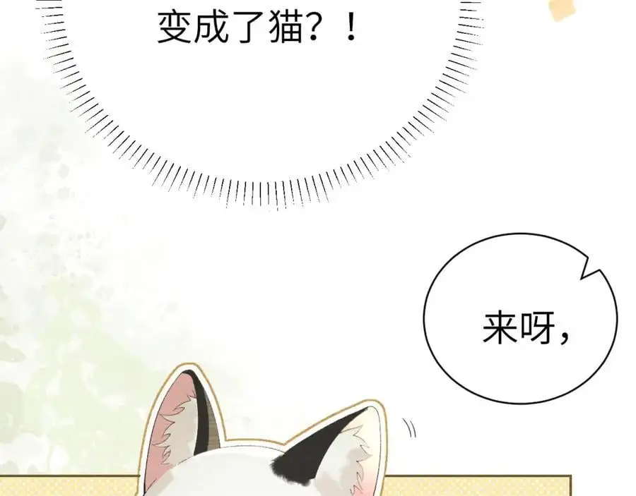 第二十二话 质子的童年 第51页