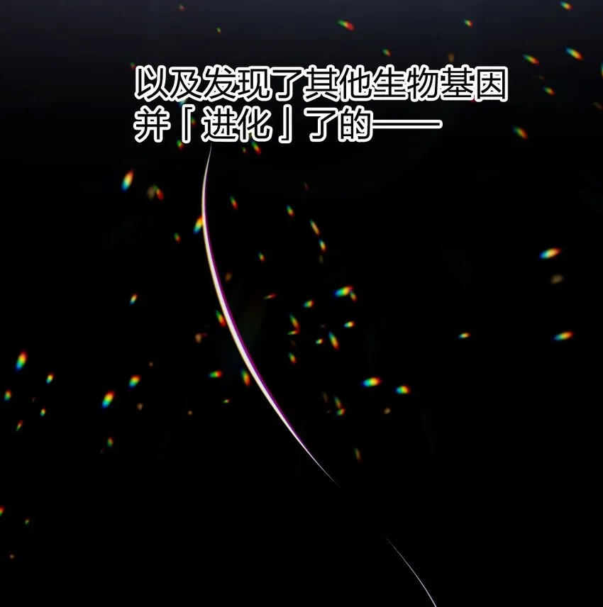 1 1 第42页