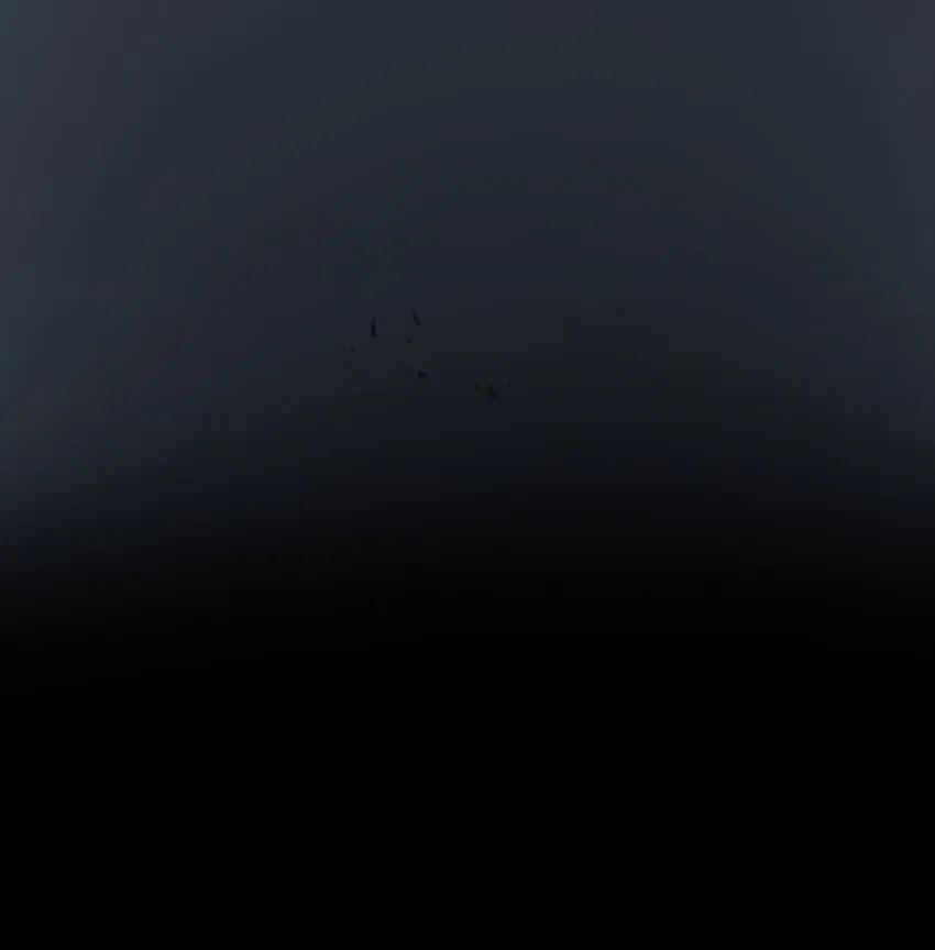 1 1 第79页