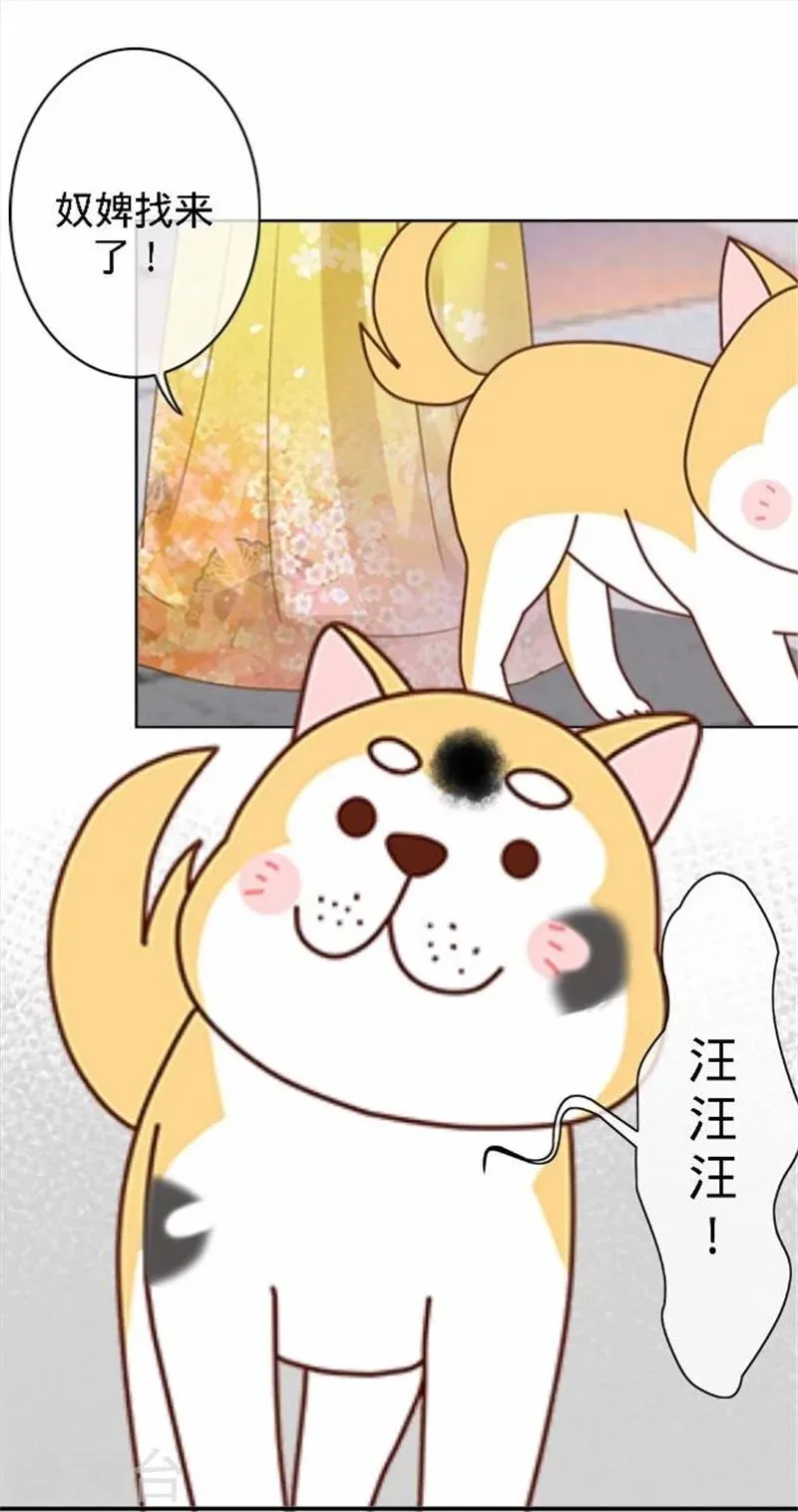 第39话 狗小霜 第14页
