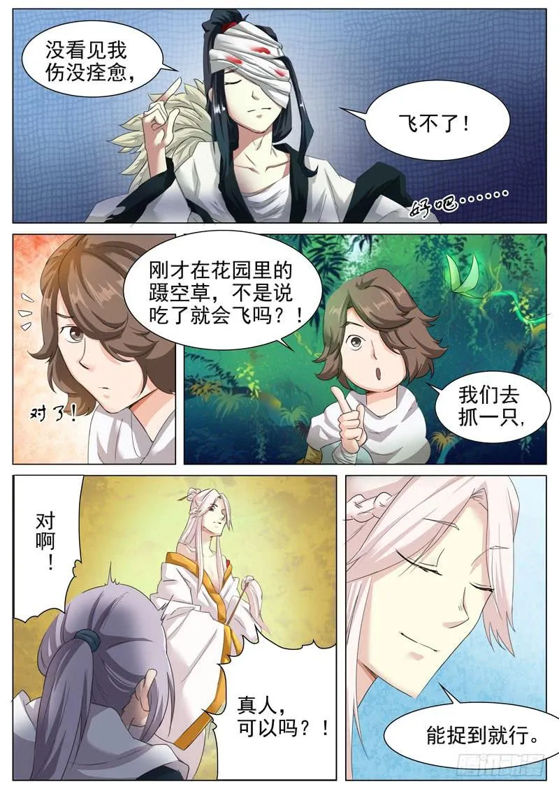 蹑空草 第5页