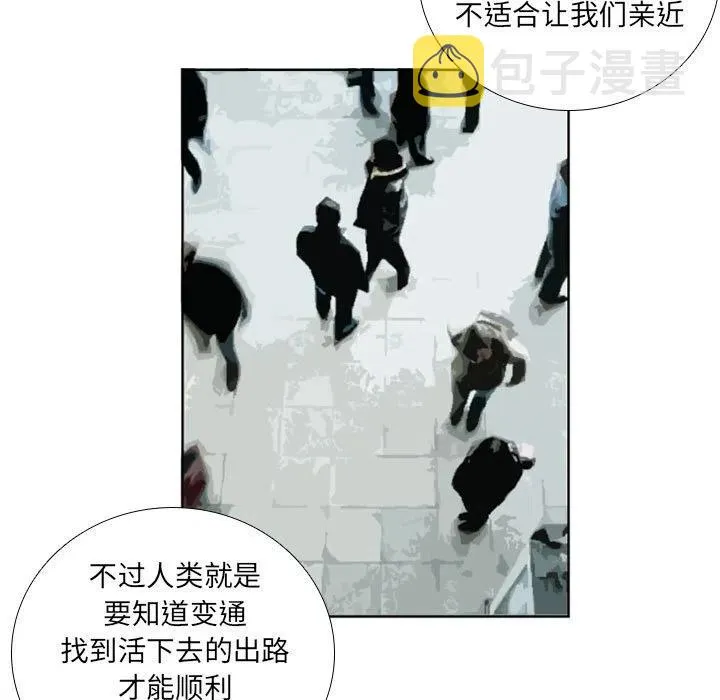 75 第39页