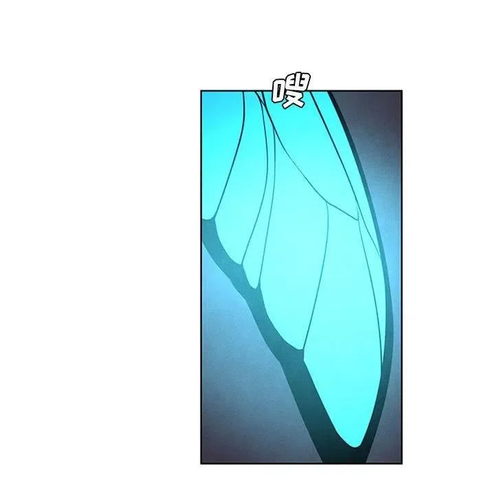72 第41页