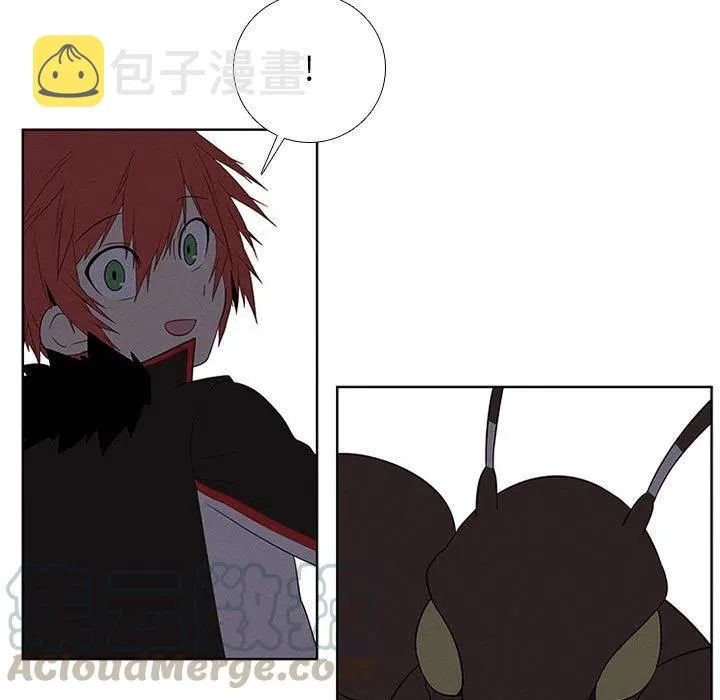 65 第19页
