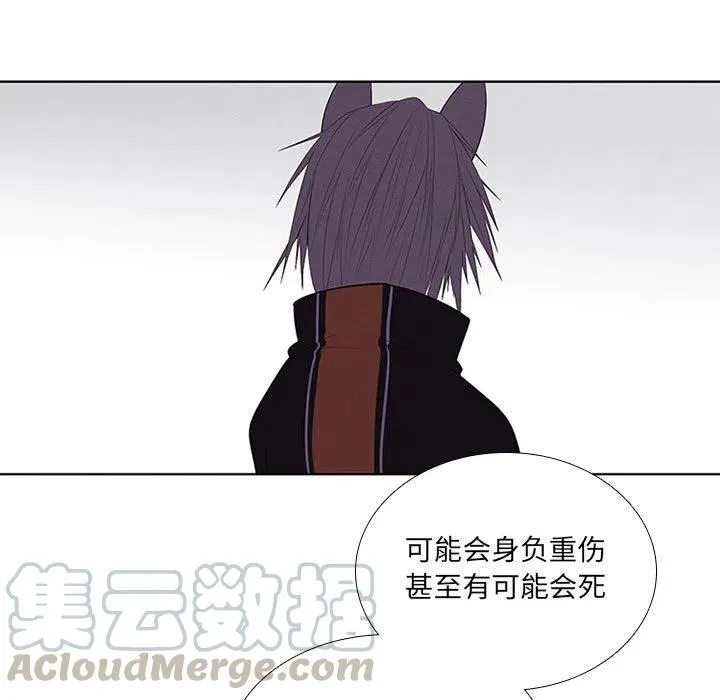 63 第55页