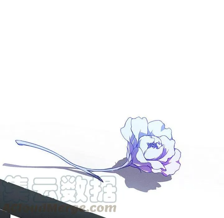 61 第16页