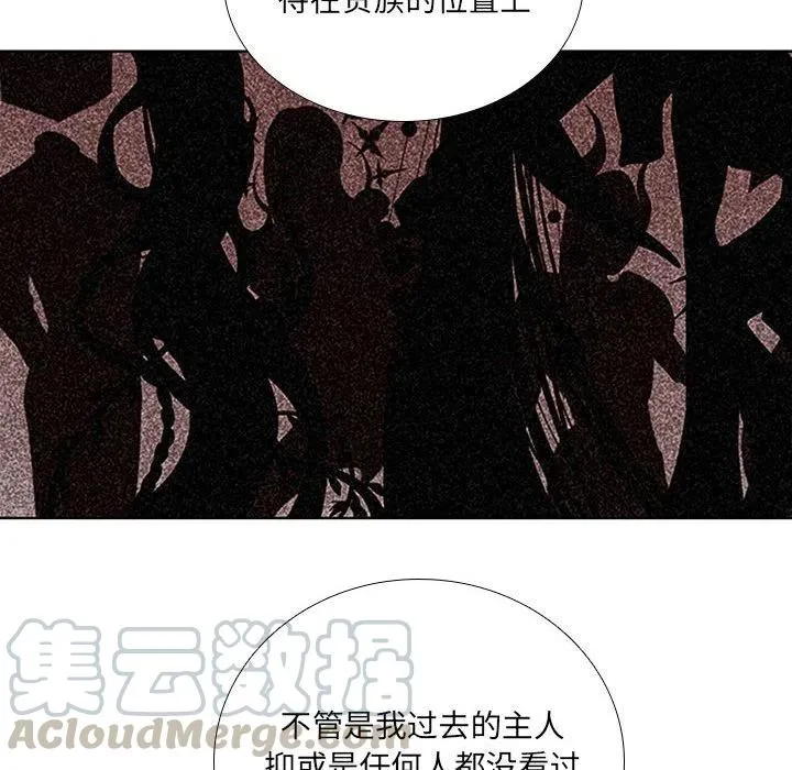 61 第40页