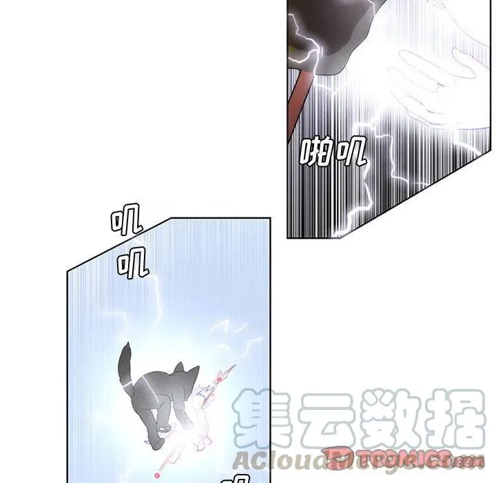 55 第58页