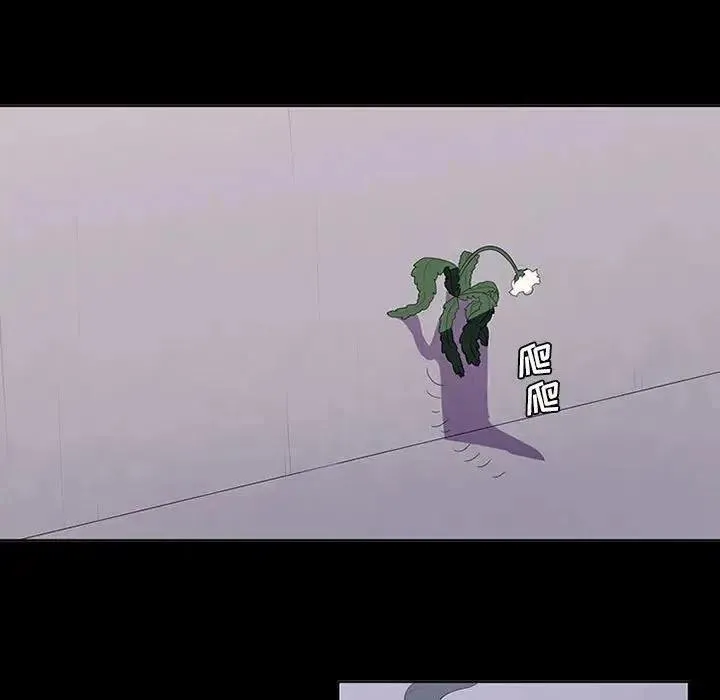 10 第50页