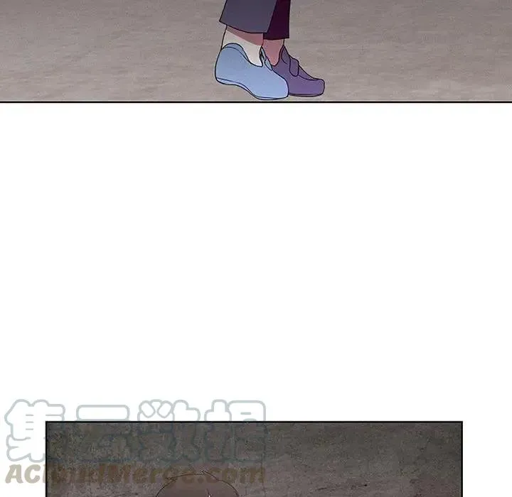 17 第16页