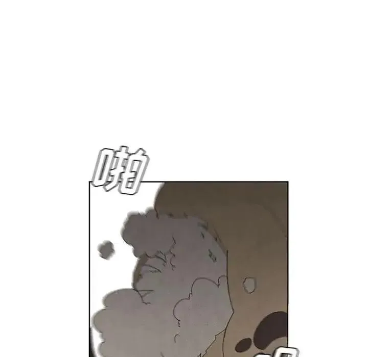 17 第45页