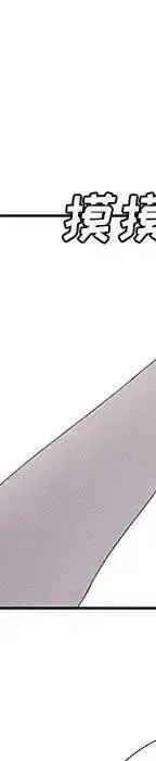 22 第162页