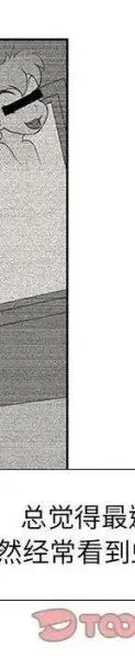 23 第194页