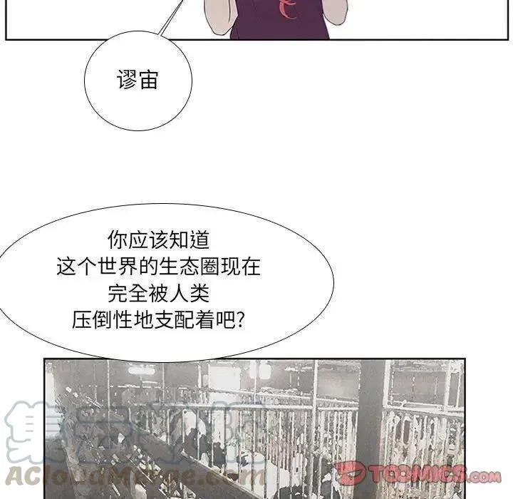 26 第31页